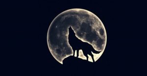 derek chew fullmoon digital