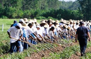 History of Juneteenth