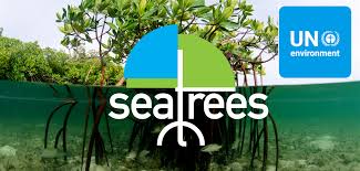 SeaTrees logo overlays a coastline view, half above half below the waterline where mangrove trees grow.