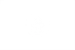 sea trees transparent (4)