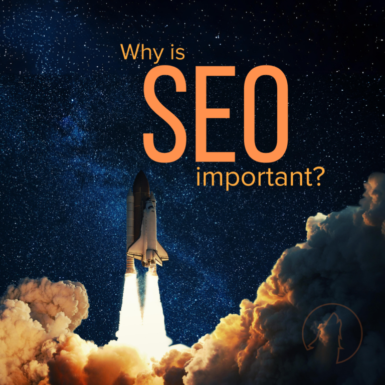 A space shuttle launch with the question 'Why is SEO important?' set against a starry sky, symbolizing the ascent to greater visibility.