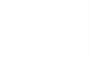 SKY BOUND LOGO